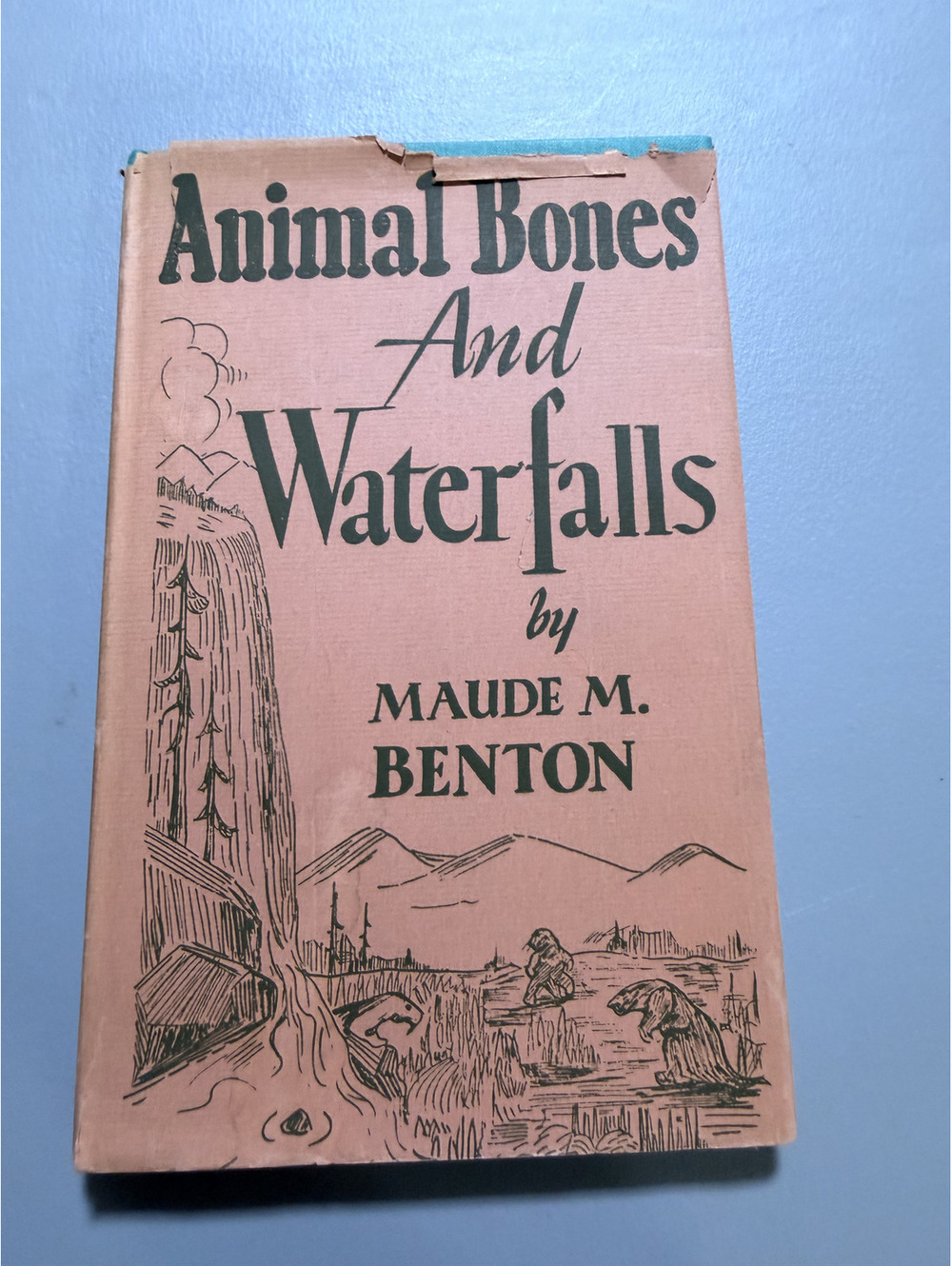 Animal Bones and Waterfalls by Maude M. Benton 1948 Hardcover
